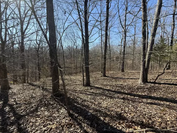 Indian Mound, TN 37079,28 Backwoods Estates