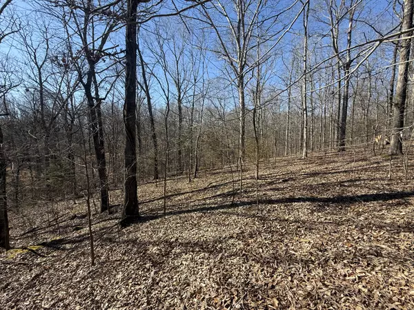 Indian Mound, TN 37079,28 Backwoods Estates