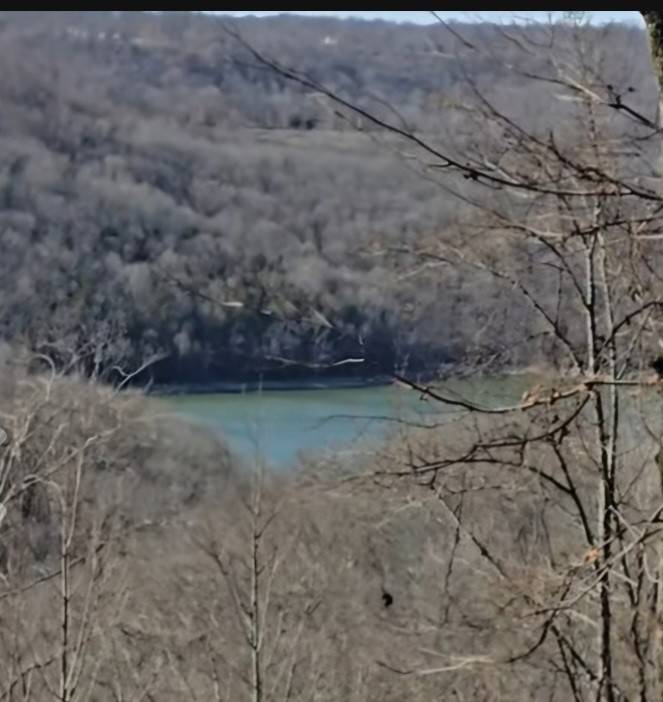 0 Lola Dr, Smithville, TN 37166