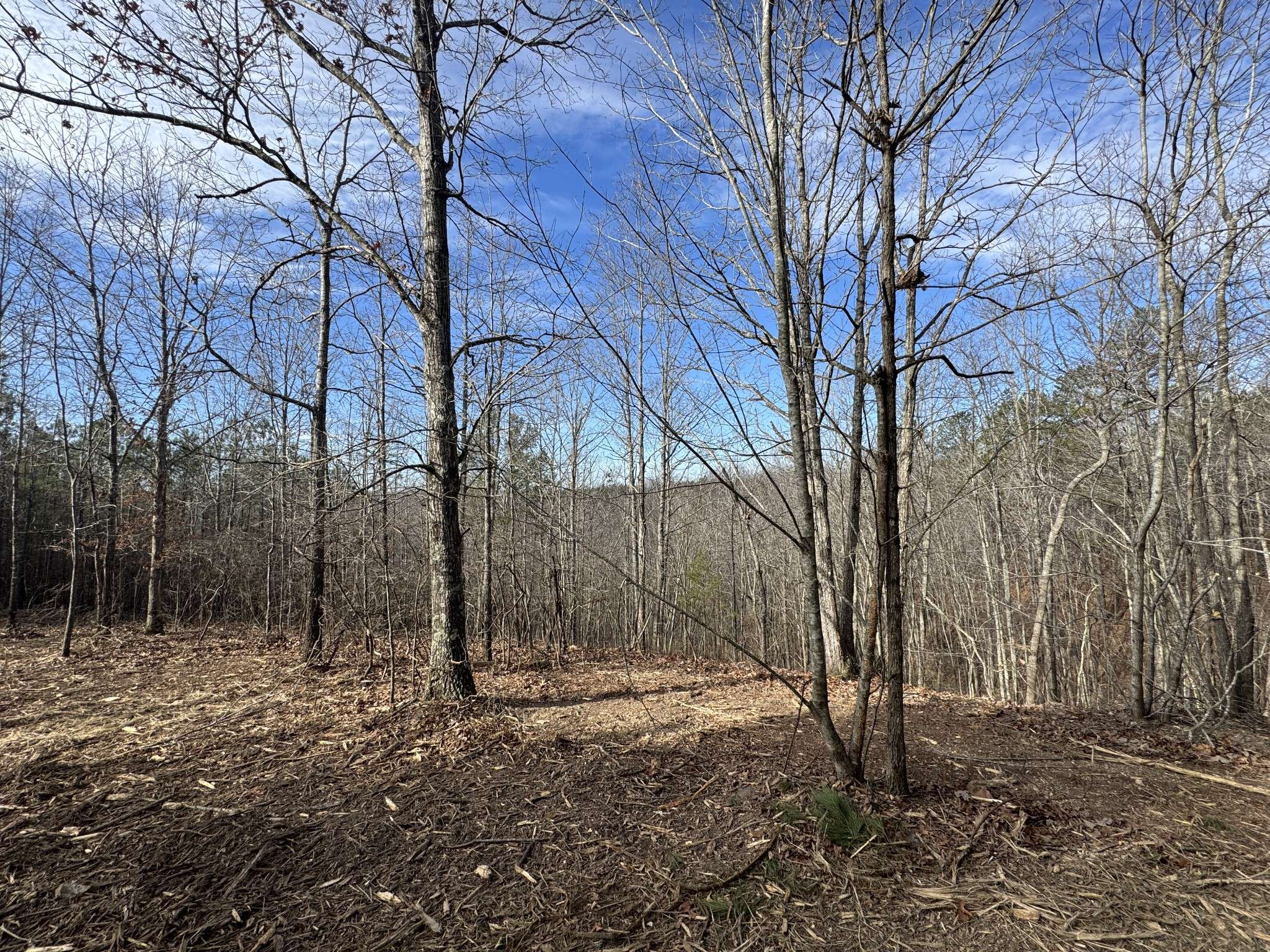 Duck River, TN 38454,0 Old Mail Road