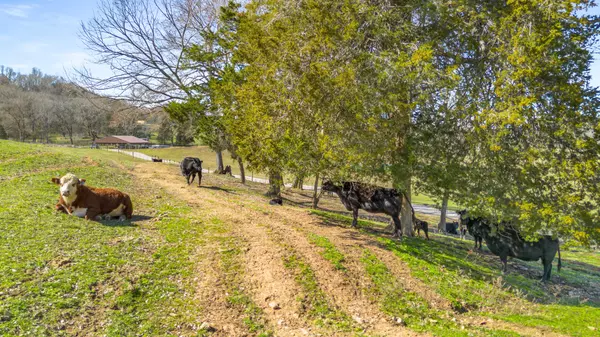 Franklin, TN 37064,3317 Floyd Rd