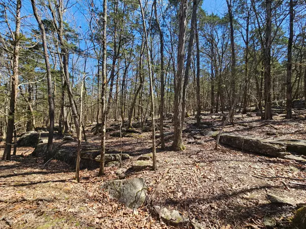 Decherd, TN 37324,0 Sewanee Summit Rd