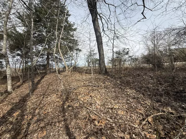 Southside, TN 37171,6 Grays Chapel Rd Tract 6