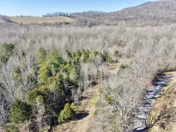 Woodbury, TN 37190,2 Gunter Hollow Rd