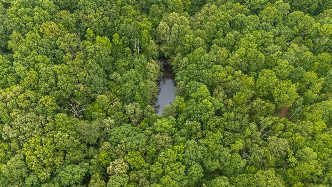 0 Bells Branch Rd, Nunnelly, TN 37137