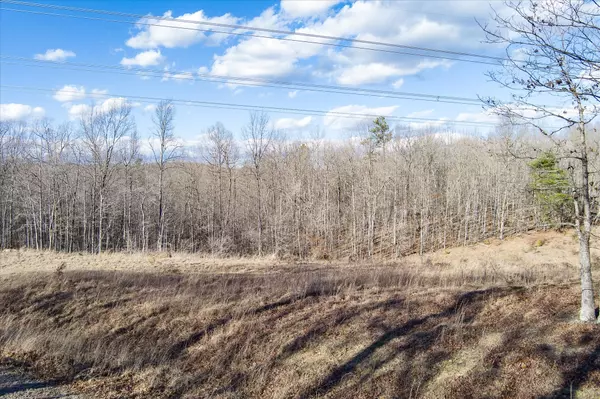 Monterey, TN 38574,0 Arrow Trail