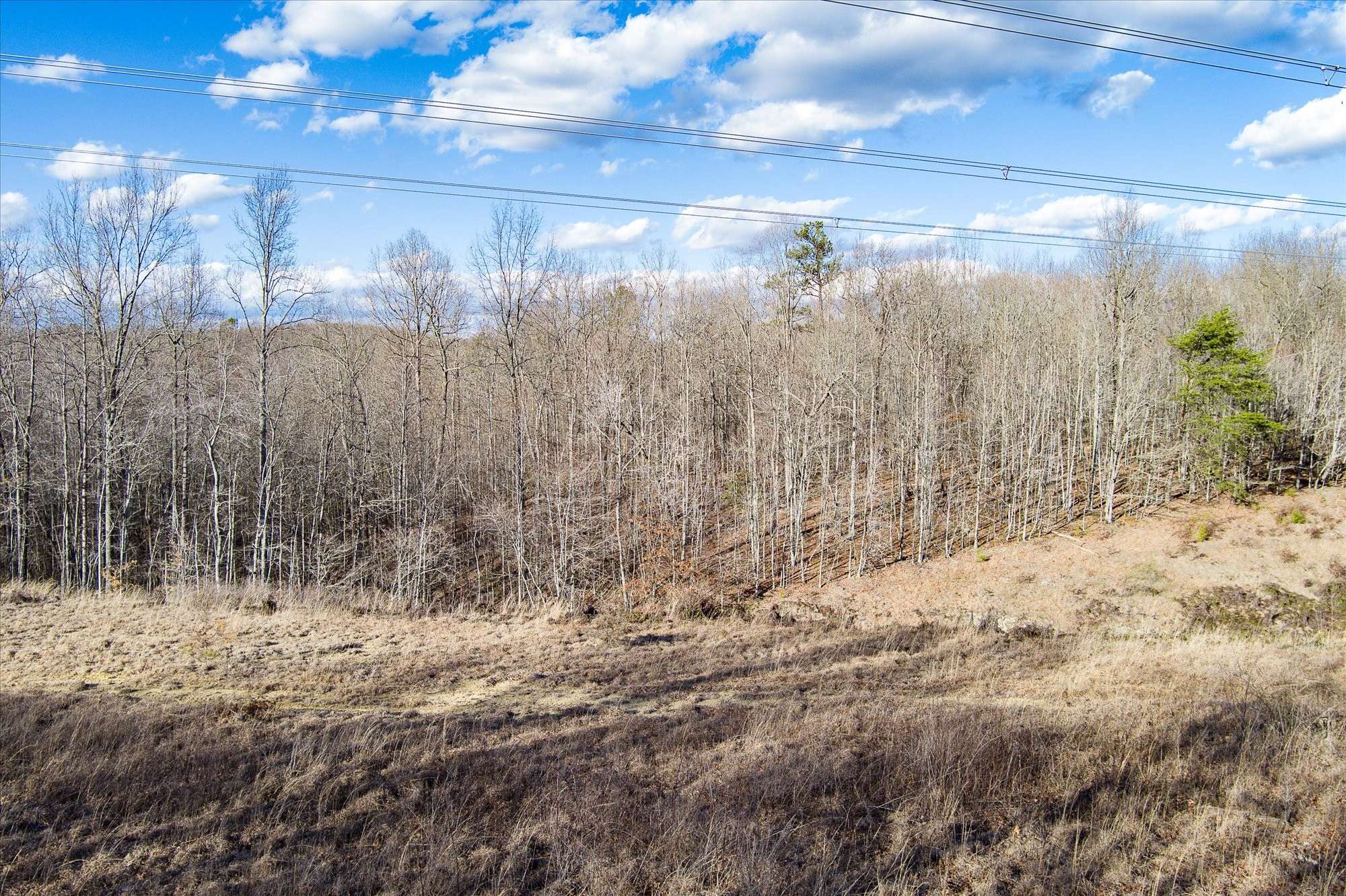0 Arrow Trail, Monterey, TN 38574
