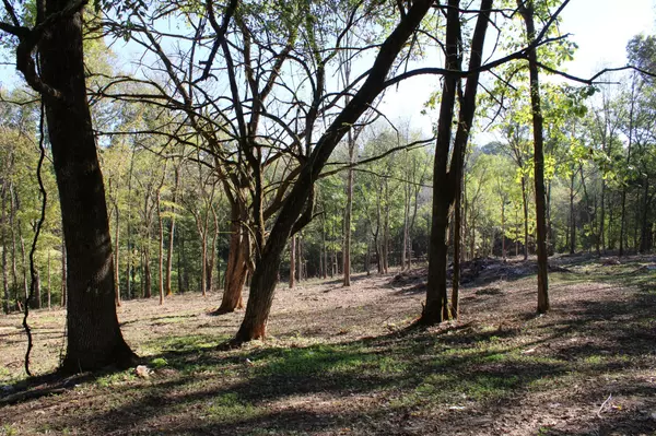 College Grove, TN 37046,0 Smithson Rd