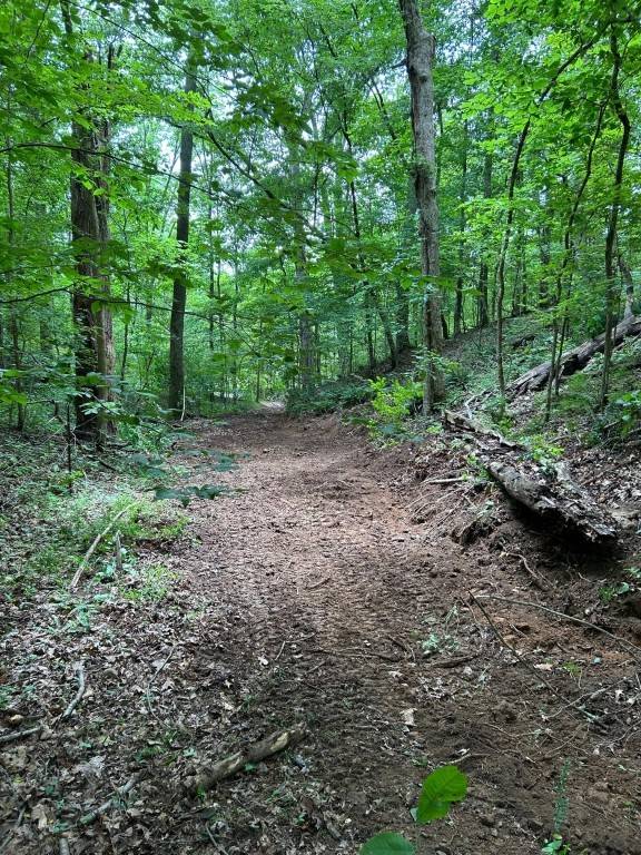 Woodlawn, TN 37191,3585 Lewis Atkins Rd