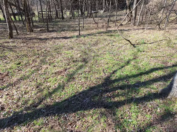 Auburntown, TN 37016,0 Hurricane Creek Rd #E