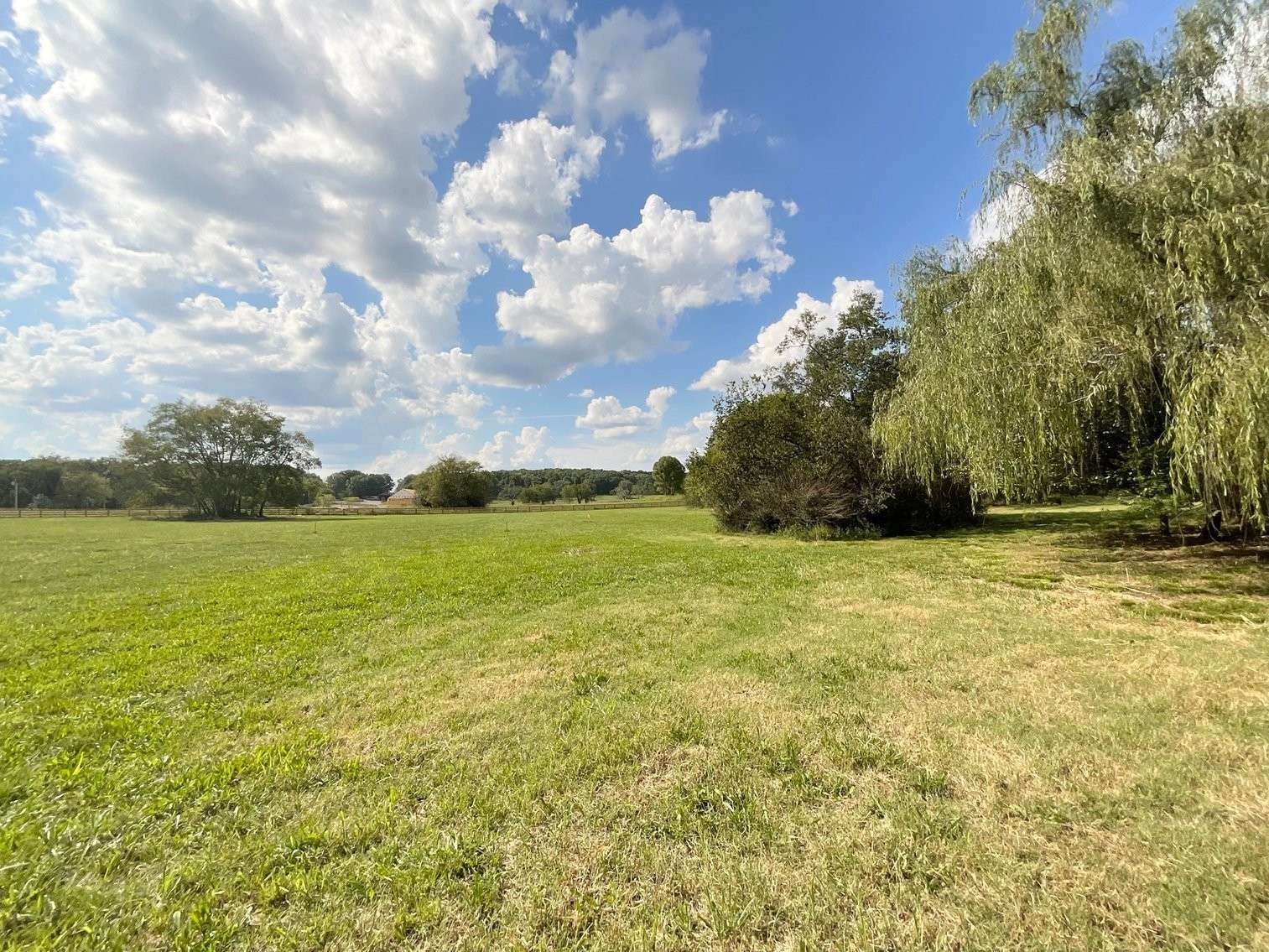 Lascassas, TN 37085,8297 Twelve Corners Rd