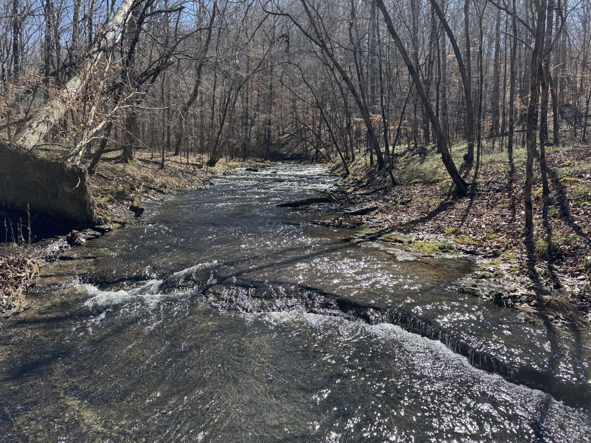 0 Waterfall Creek Road, Collinwood, TN 38450