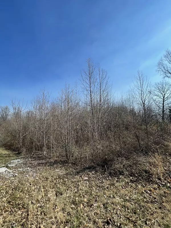 Manchester, TN 37355,0 Hunters Landing Dr