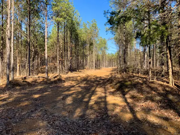 Saltillo, TN 38370,0 Doe Road