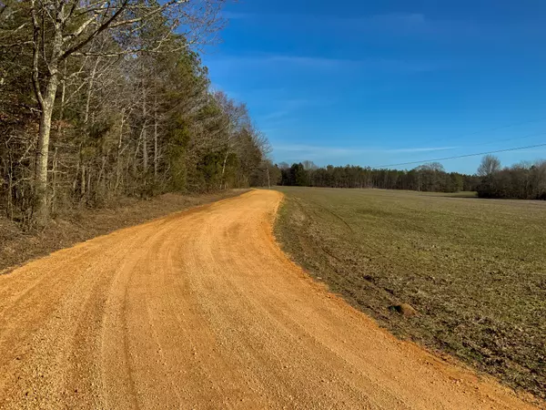 Saltillo, TN 38370,0 Doe Road