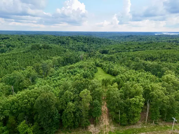 Dover, TN 37058,0 Wanut Grove Road