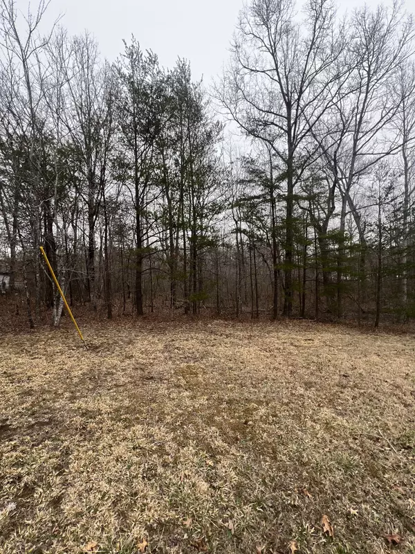 Monterey, TN 38574,36 George Branch Dr