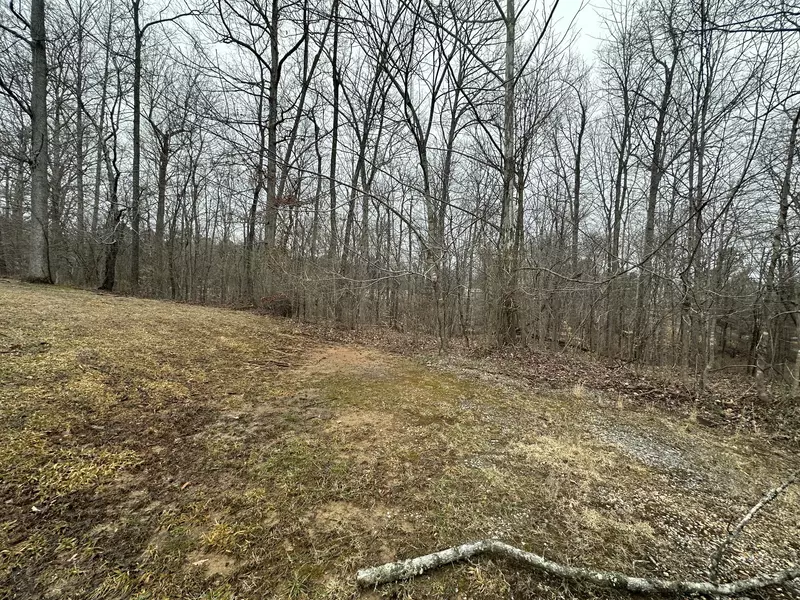 9 Ginger Drive, Dover, TN 37058