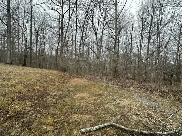 9 Ginger Drive, Dover, TN 37058