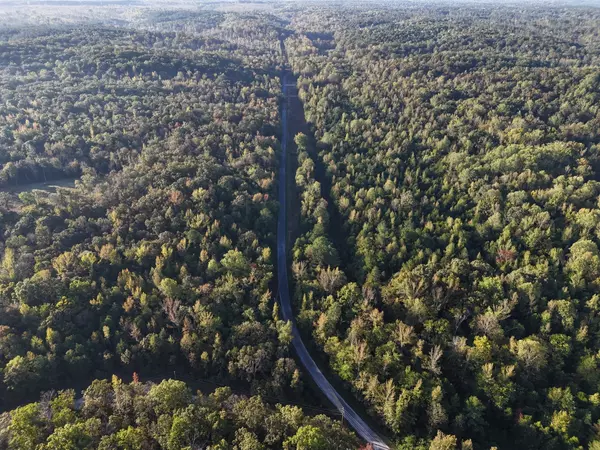 Holladay, TN 38341,1151 Coxburg Rd N