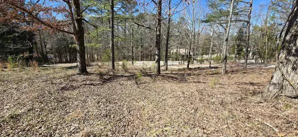 Waverly, TN 37185,11104 Cuba Landing Rd