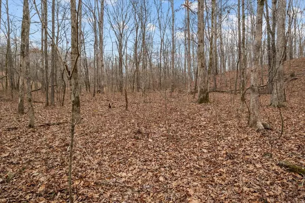 Nunnelly, TN 37137,0 Oak Springs Rd
