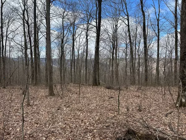 Beersheba Springs, TN 37305,126 Northcutts Cove Road