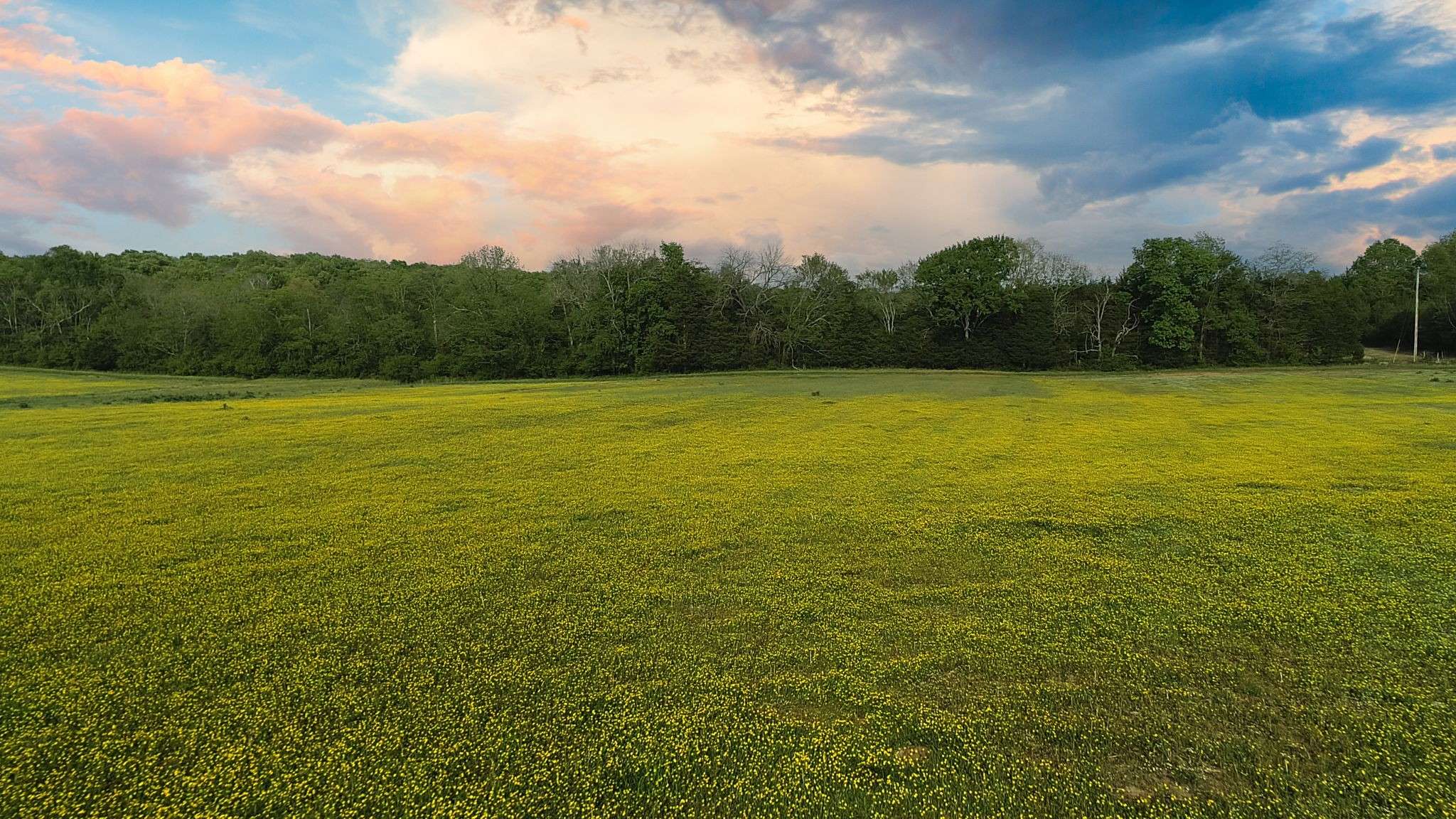 Mount Juliet, TN 37122,7 Corinth Road