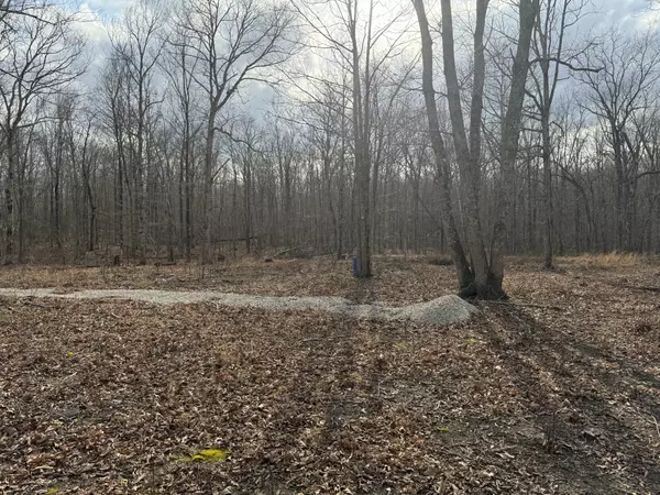 Monteagle, TN 37356,0 Hummingbird Lane