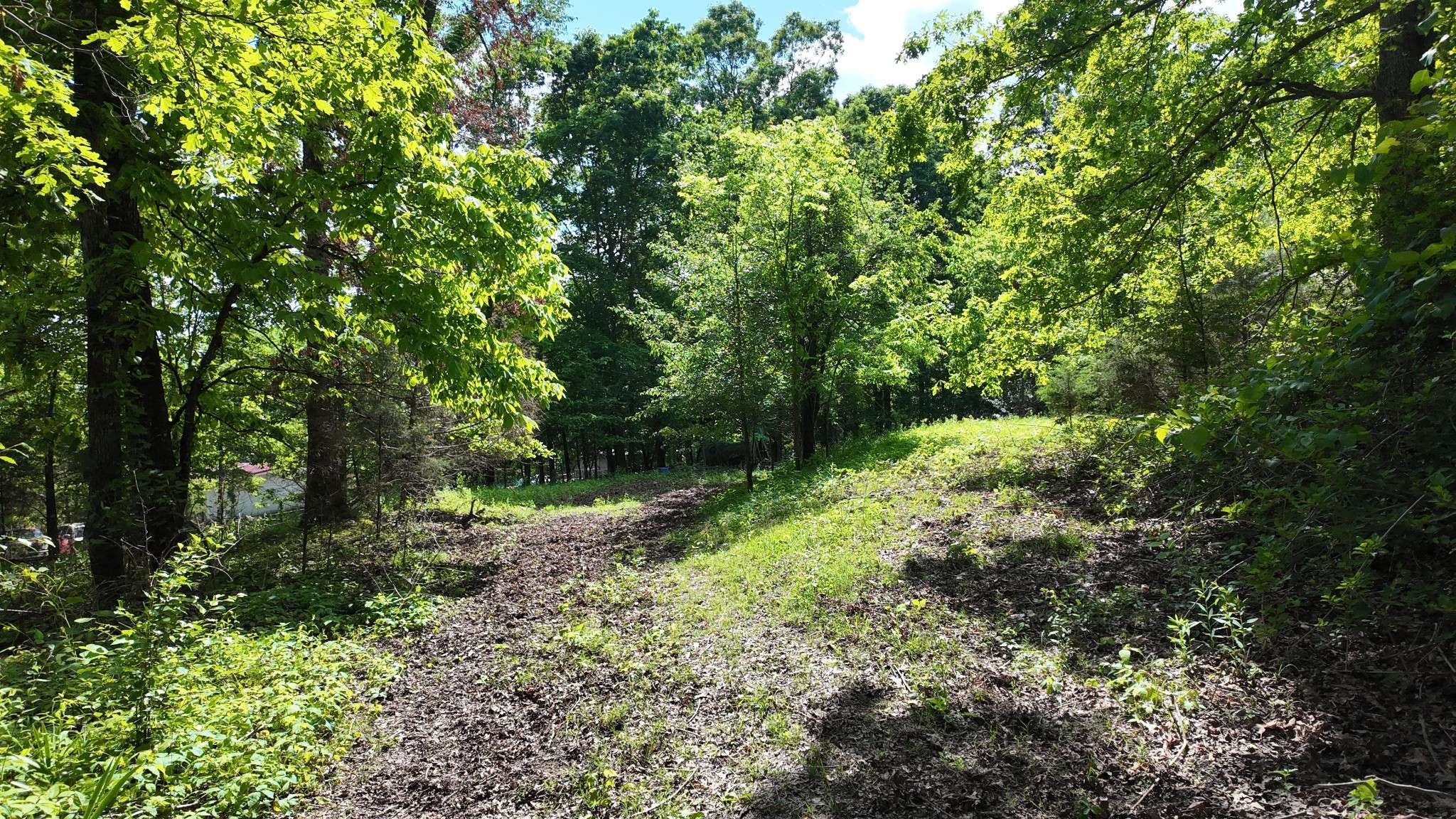 Primm Springs, TN 38476,7822 Barnhill Rd