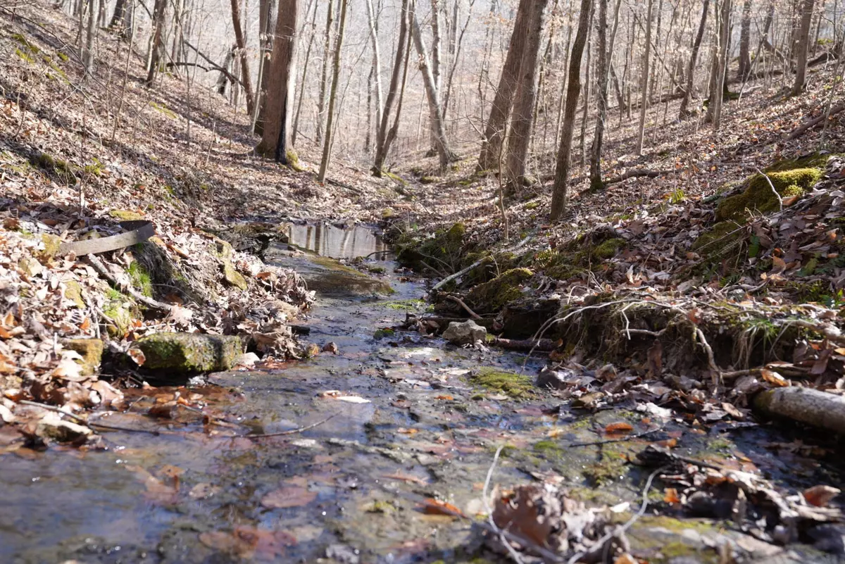 Franklin, TN 37064,5717 Quest Ridge Rd