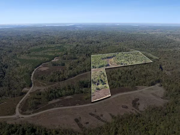 0 Cox Hollow Rd Lot 2, Dover, TN 37058