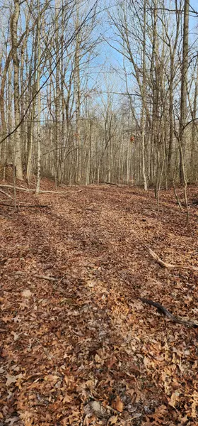 0 Hunziker Rd, Tracy City, TN 37387