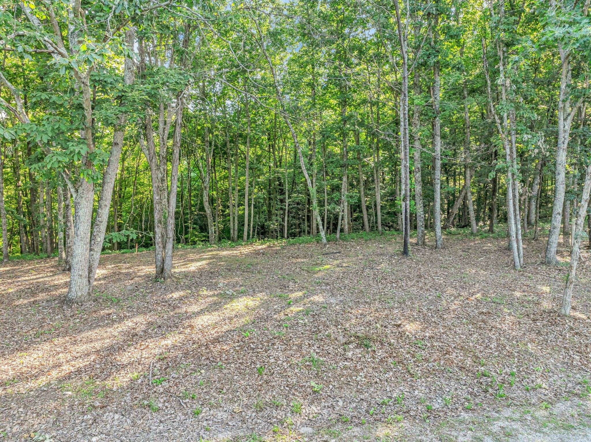 Pegram, TN 37143,0 Apache Trail