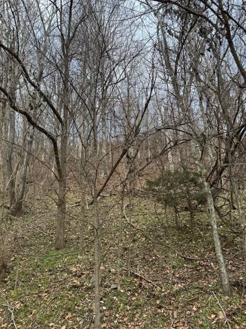 0 Blackberry Ridge Way, Smithville, TN 37166