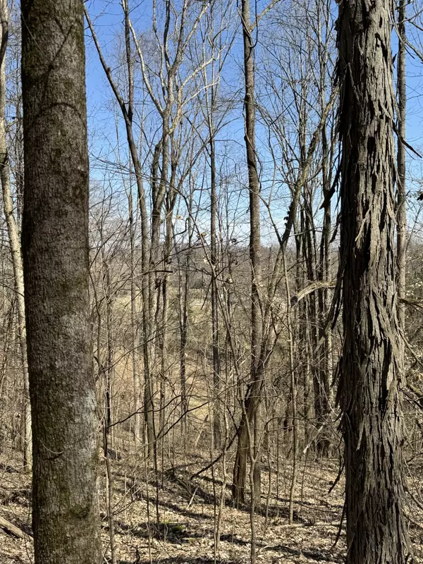 Watertown, TN 37184,12060 Sparta Pike