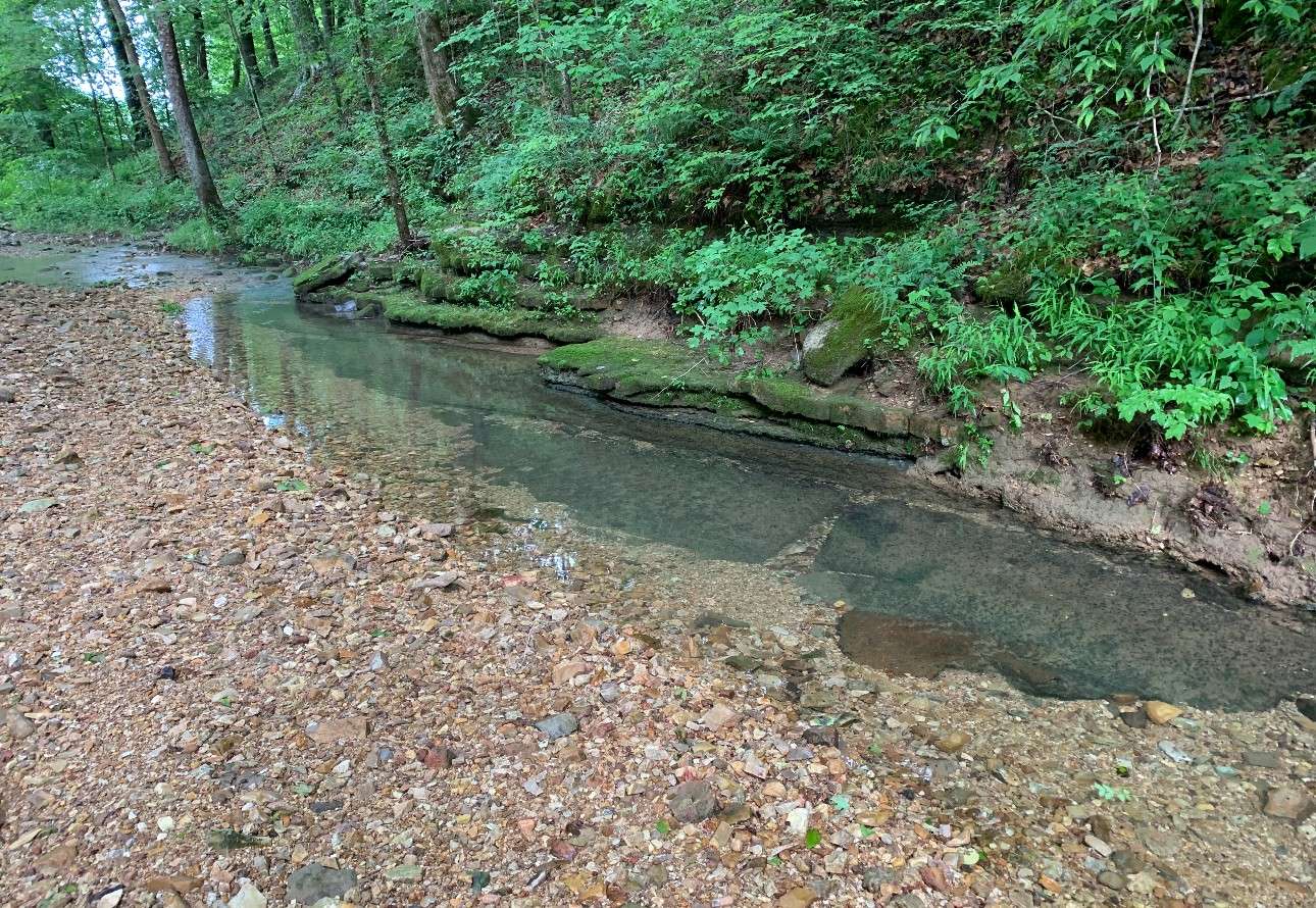 Dover, TN 37058,1 Cox Hollow Rd