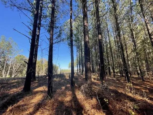 Linden, TN 37096,138 Center Ridge Dr