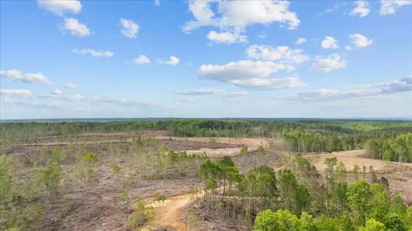 Holladay, TN 38341,0 Birdsong Rd