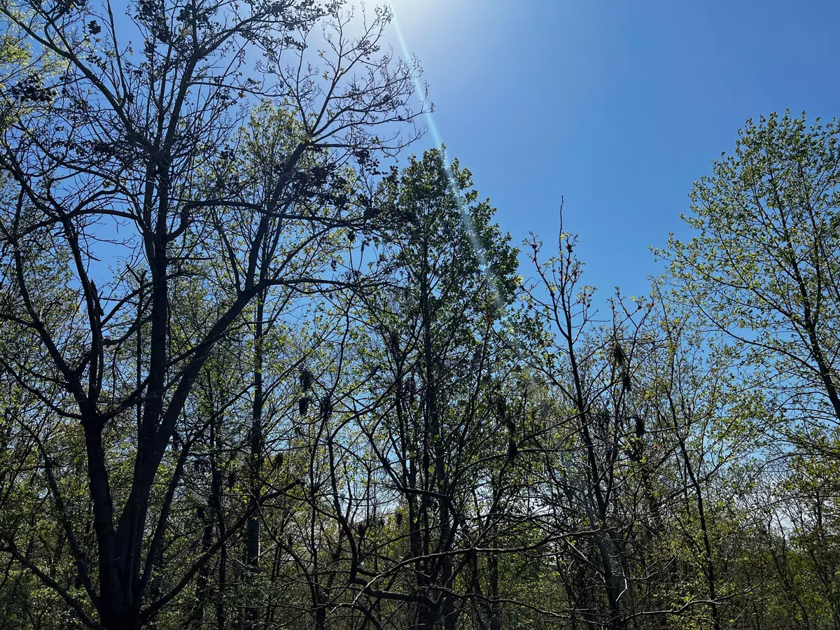 Stewart, TN 37175,0 Shores Trail