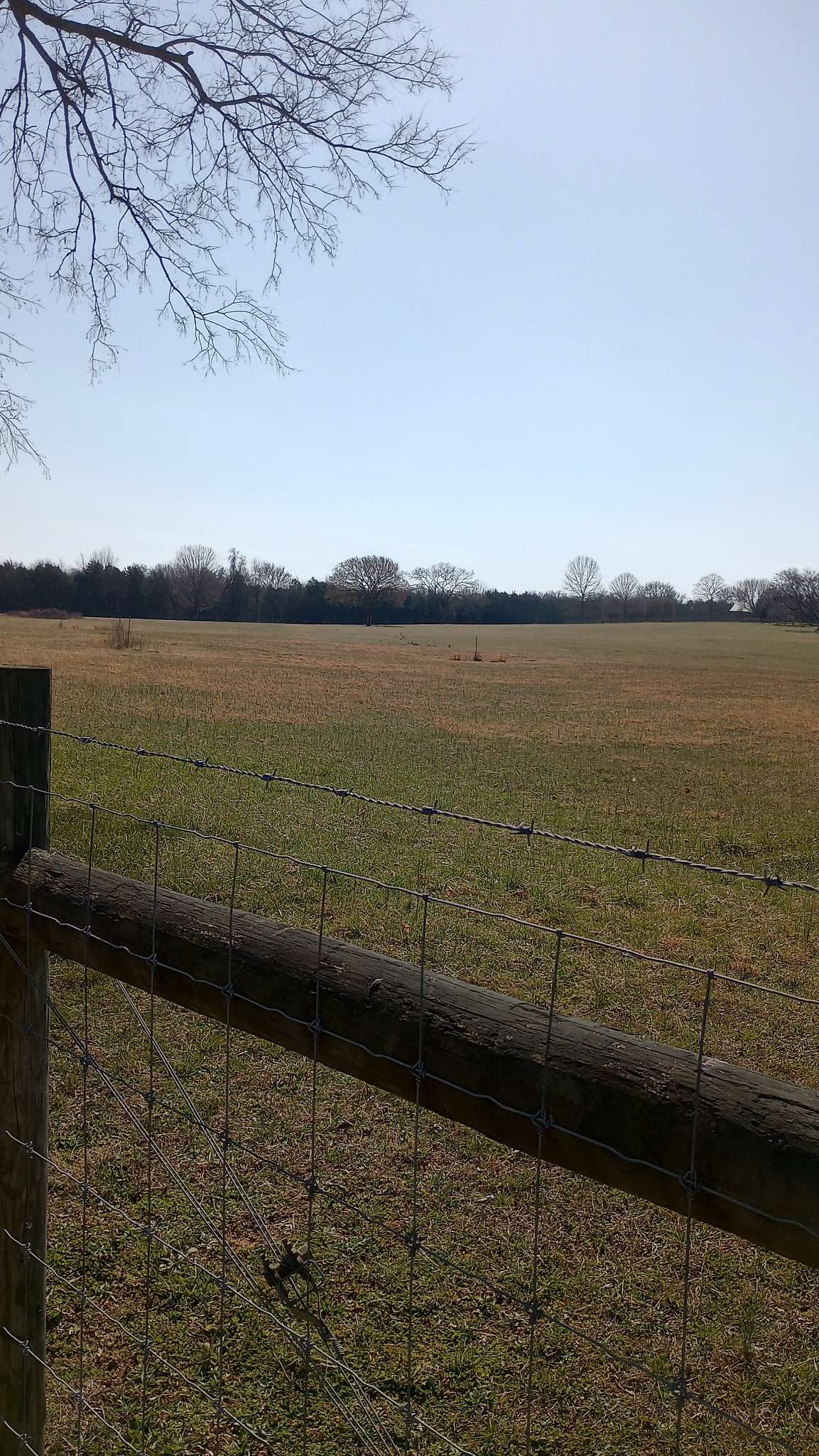 0 Verona Caney Lot #2,  Lewisburg,  TN 37091