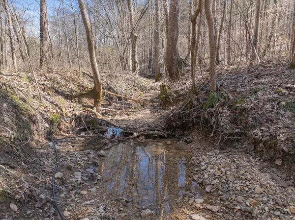 Sugar Tree, TN 38380,355 John Henry Pratt Rd