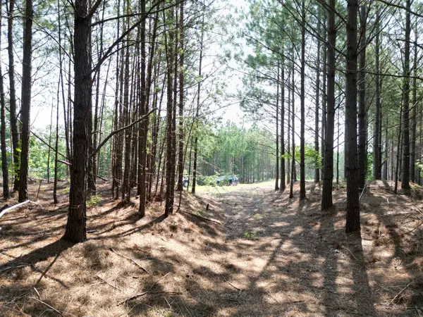 Linden, TN 37096,449 Fox Ridge Dr