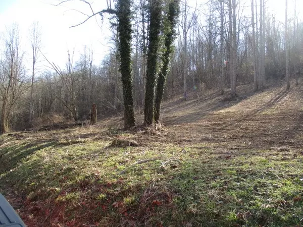 Bethpage, TN 37022,0 Rock House Hollow Road