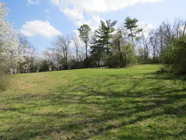 1401 Mill St, Pulaski, TN 38478