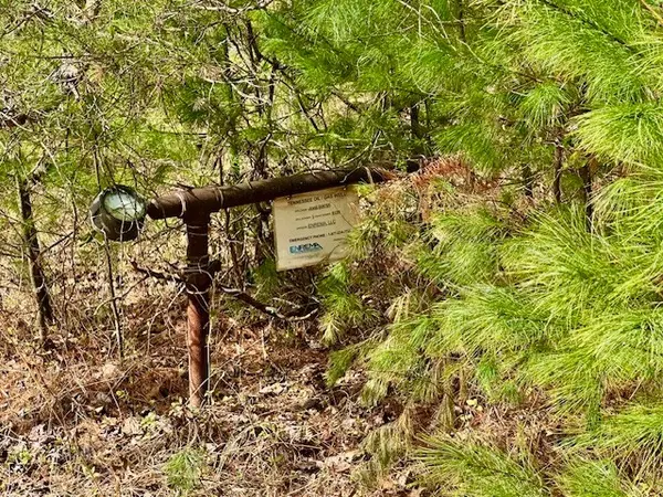 Sunbright, TN 37872,144 Gunter Place Rd