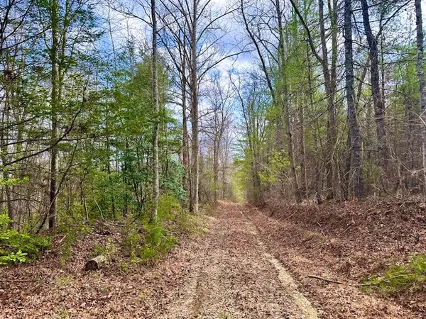 Sunbright, TN 37872,144 Gunter Place Rd