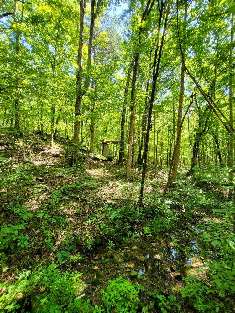 Linden, TN 37096,6704 Rockhouse Rd