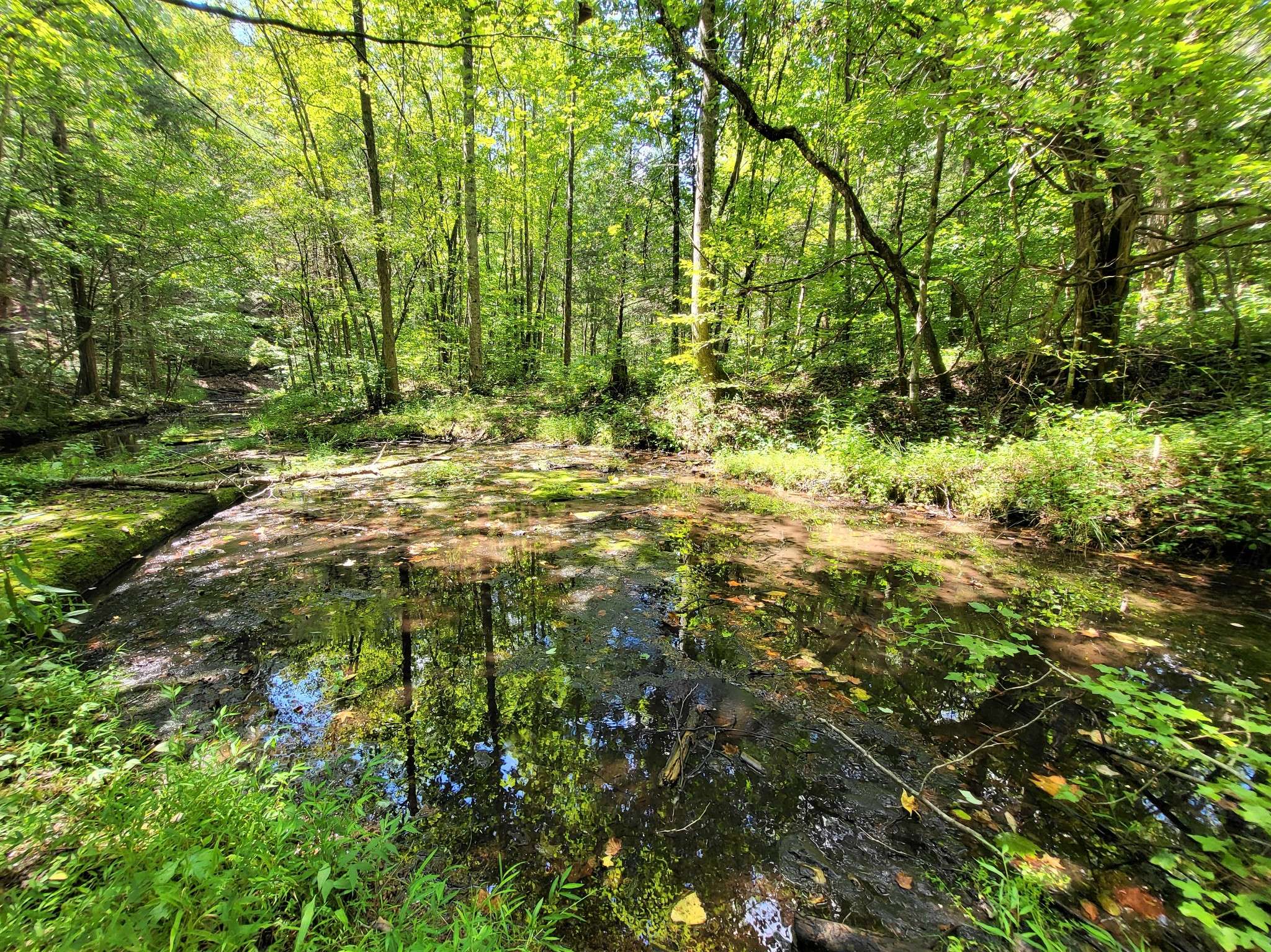 6704 Rockhouse Rd, Linden, TN 37096