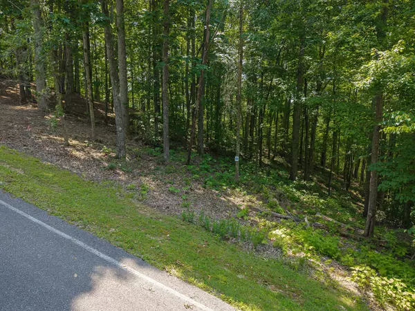 Sparta, TN 38583,0 Bridge Pointe Rd